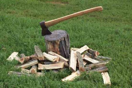 Home Business Entrepreneurs: Selling Firewood, Rototill Gardens and Preparing Taxes Image